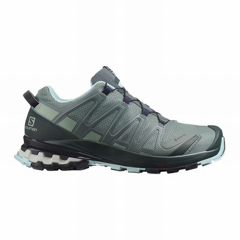 Salomon Israel XA PRO 3D V8 GORE-TEX - Womens Hiking Shoes - Green (AUHW-89721)